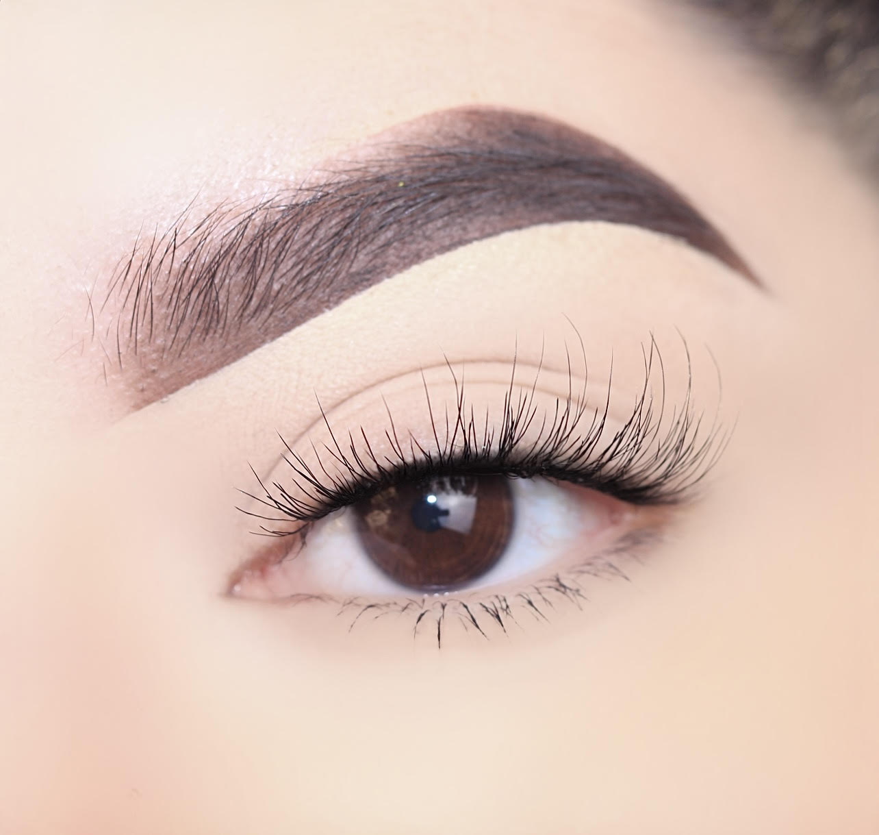 72243 3D Faux Mink Lashes 5+1 Pack (Quaoar)
