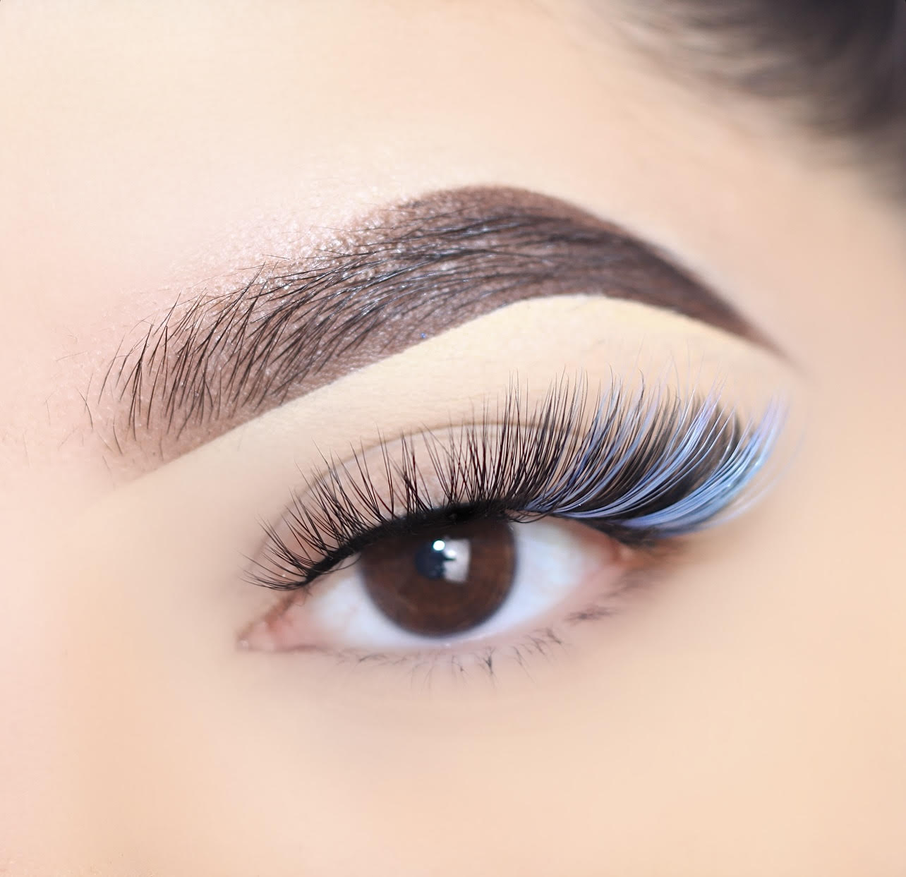 72205 3D Silk Lashes 5+1 Pack (Jupiter)