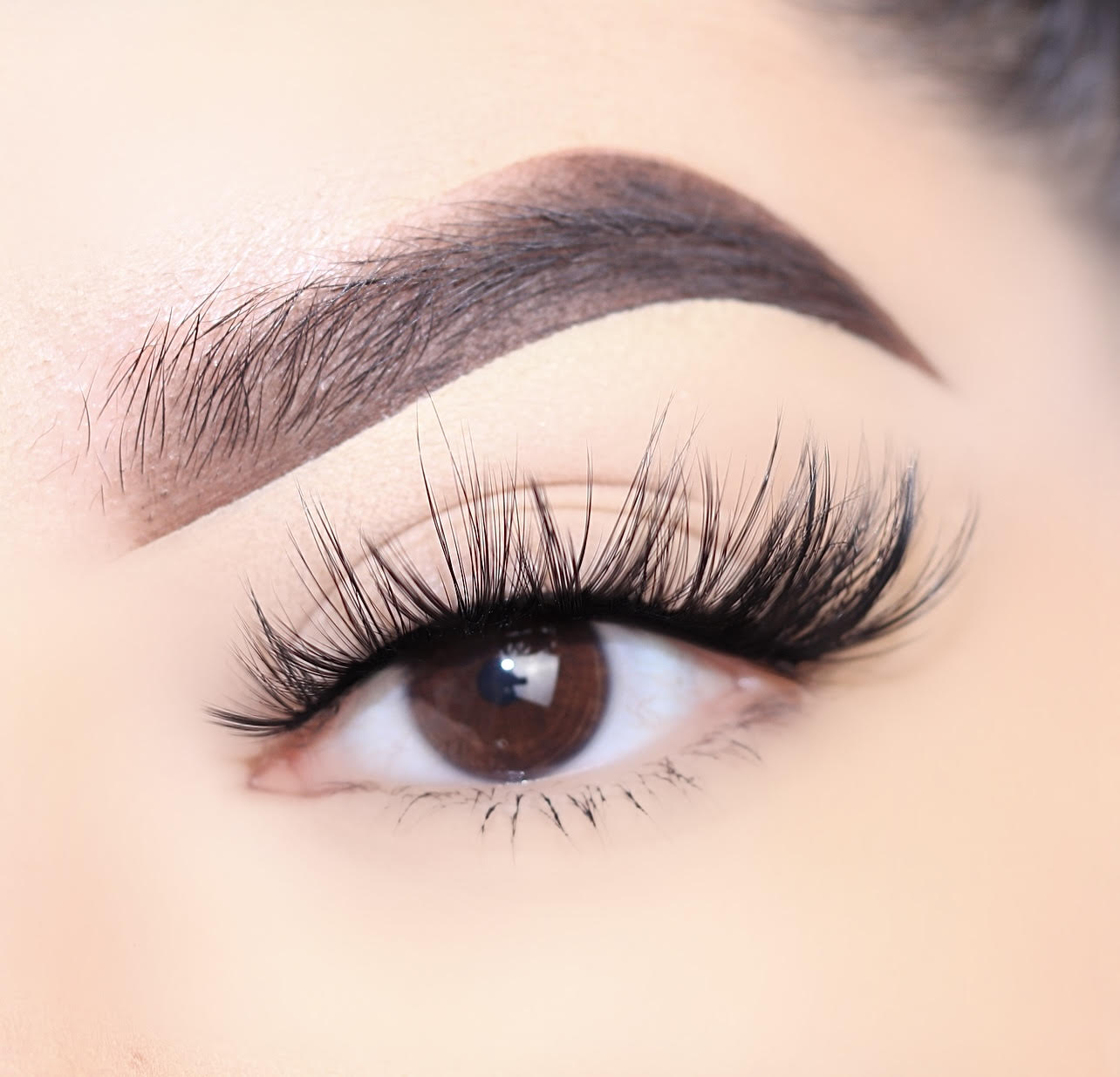 72201 3D Silk Lashes 3+1 Pack (Earth)