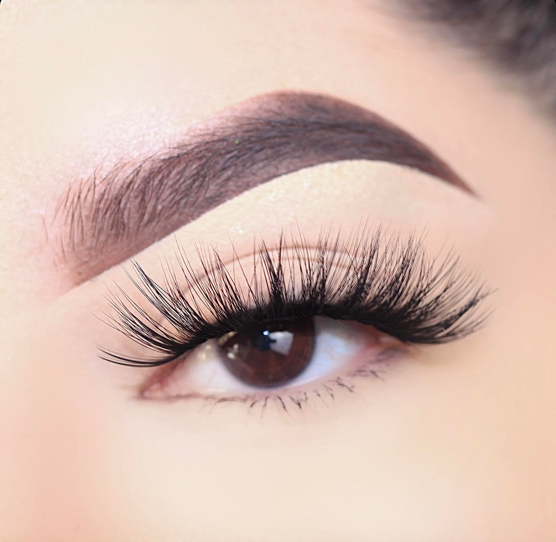 72223 3D Silk Lashes 5+1 Pack (Ceres)