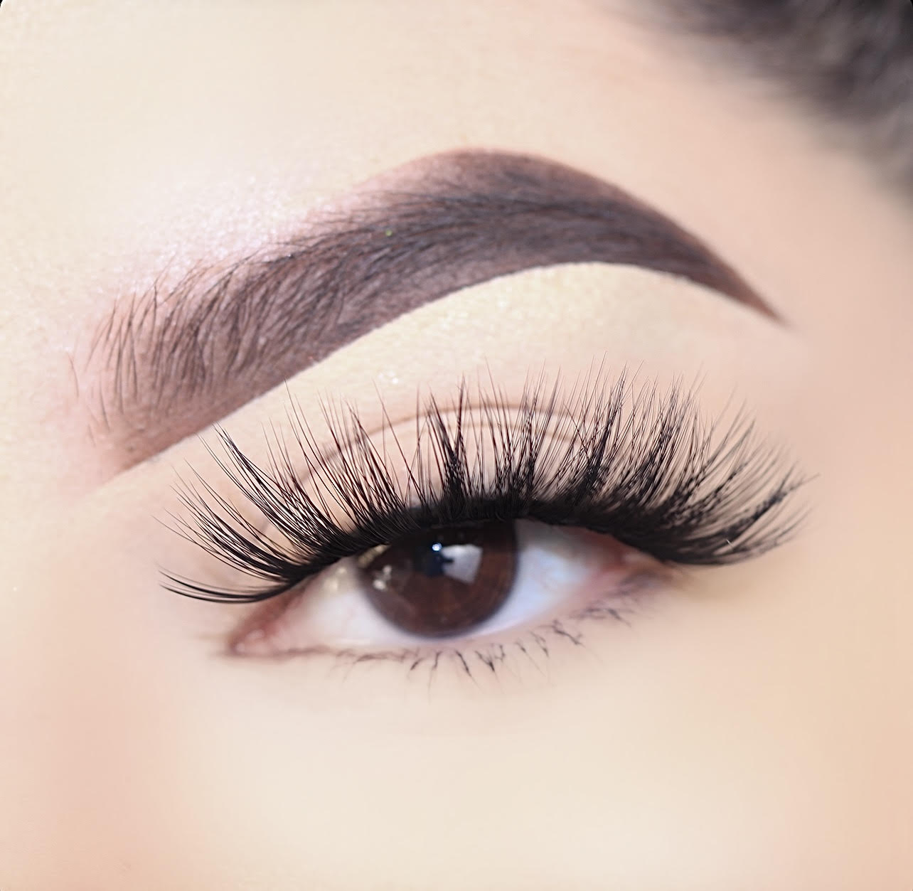 72223 3D Silk Lashes 5+1 Pack (Ceres)
